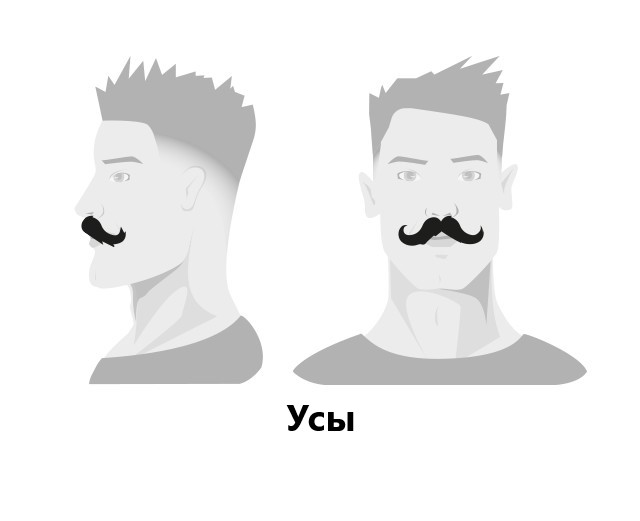 BARBERS: Моделирование бороды BARBERS: Моделирование бороды