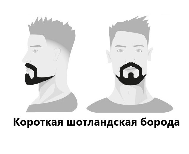 BARBERS: Моделирование бороды BARBERS: Моделирование бороды