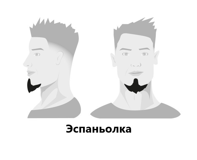 BARBERS: Моделирование бороды BARBERS: Моделирование бороды