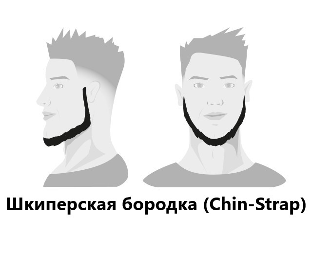BARBERS: Моделирование бороды BARBERS: Моделирование бороды