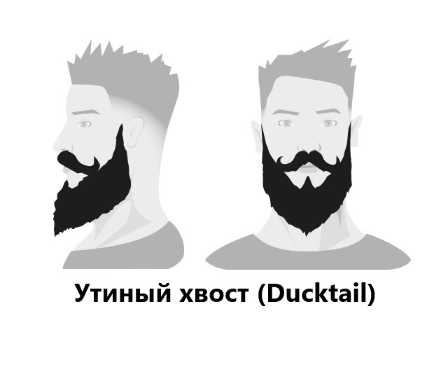 BARBERS: Моделирование бороды BARBERS: Моделирование бороды