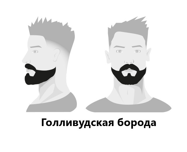 BARBERS: Моделирование бороды BARBERS: Моделирование бороды