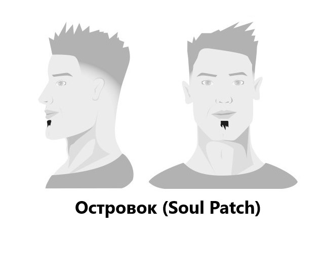 BARBERS: Моделирование бороды BARBERS: Моделирование бороды